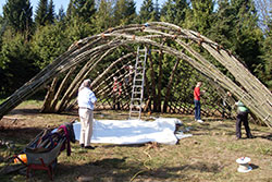 Weidenbauprojekt